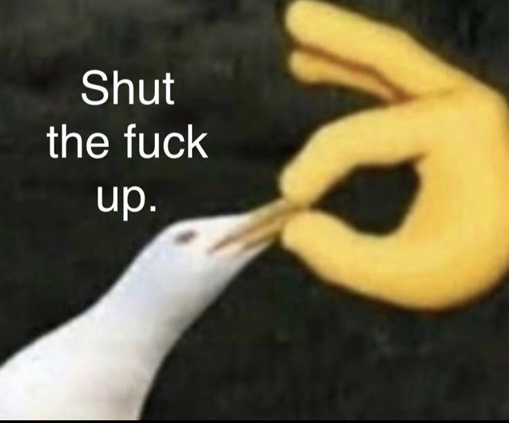 Mày có quyền nói, không ai có nhu cầu nghe