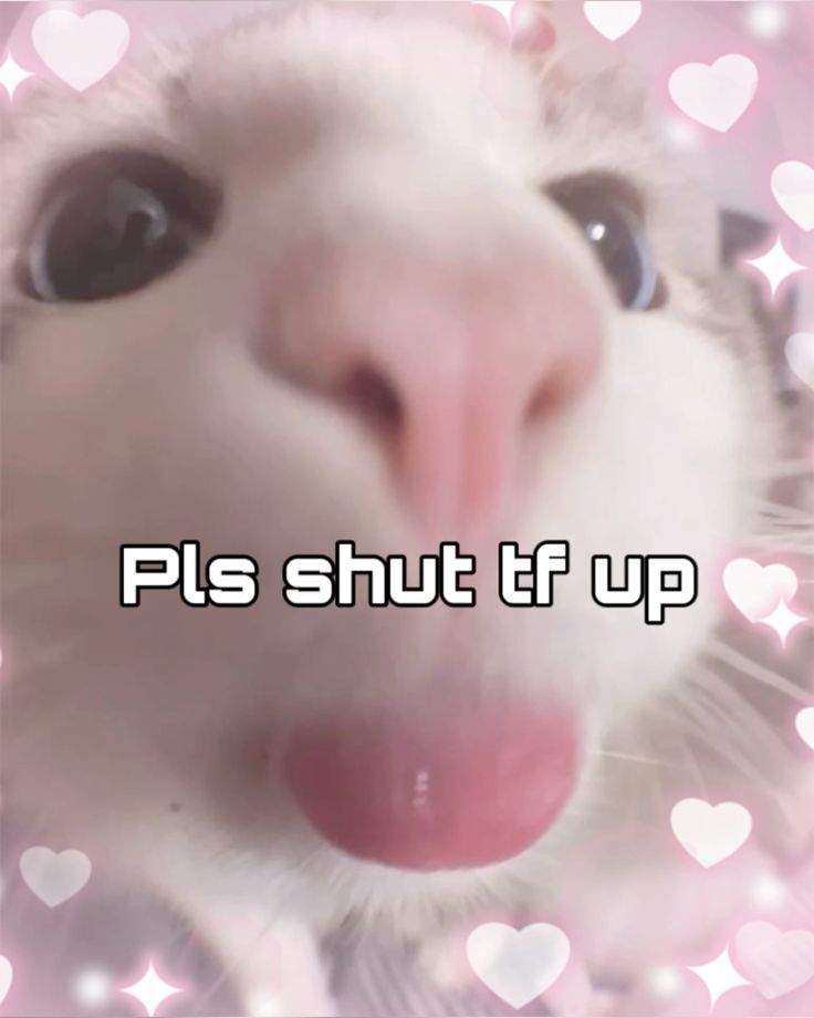 Mày vừa nói xong là tao mất niềm tin