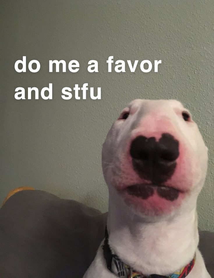 Mỗi lần mày nói là não tao rỉ máu