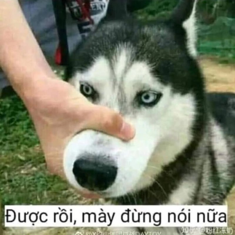 Nói nữa là tao bỏ đi thật đó nha