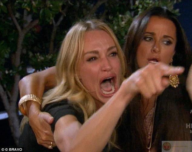 Meme chỉ tay vào mèo