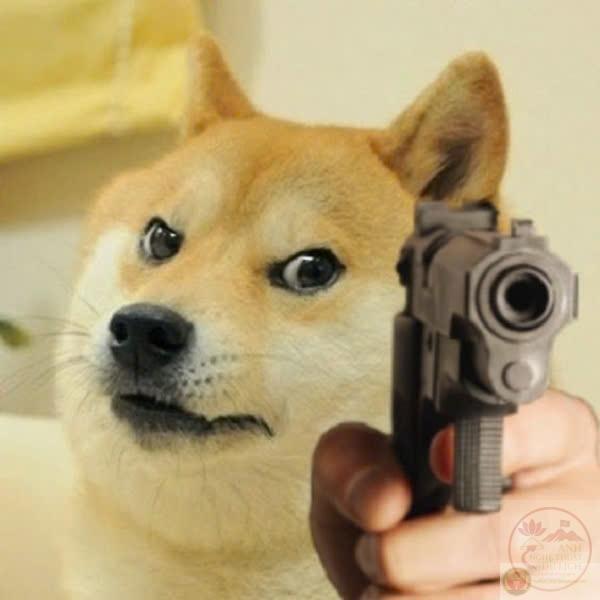 meme chó Shiba11.jpg