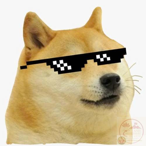 meme chó Shiba-4.jpg
