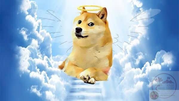 meme chó Shiba-29.jpg