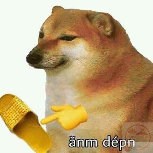 meme chó Shiba-8.jpg