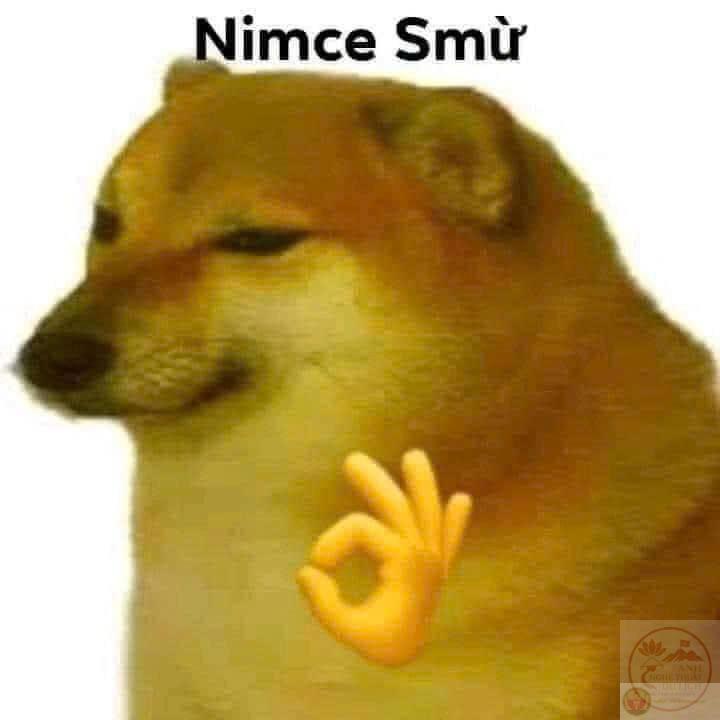 meme chó Shiba-20.jpg