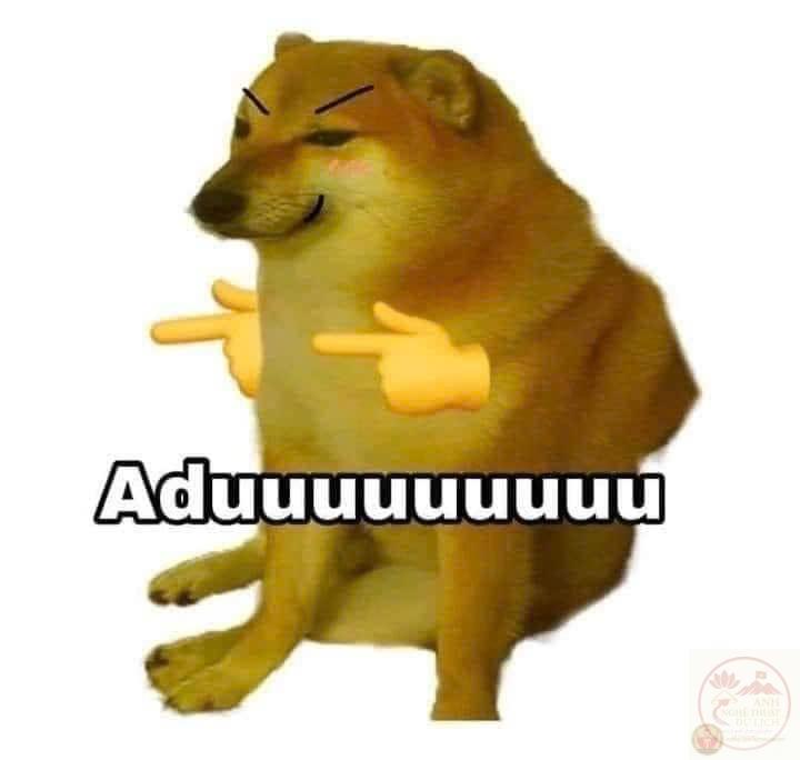 meme chó Shiba-17.jpg