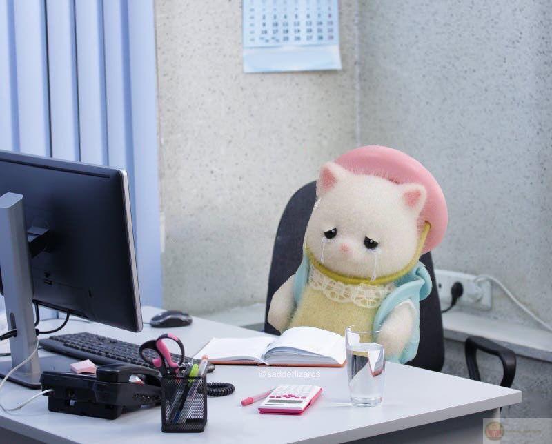 Meme con vật mệt mỏi buồn cười biến những khoảnh khắc ngáp dài thành ảnh chế bá đạo