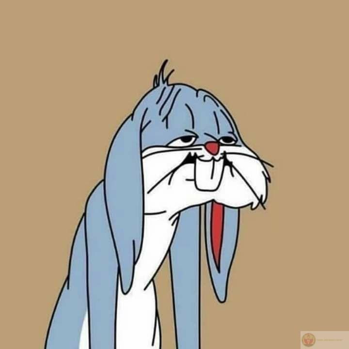 Meme mệt mỏi hài hước