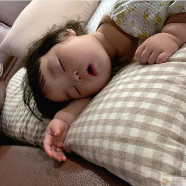 Một chiếc meme mệt mỏi ngộ nghĩnh khiến ai nhìn cũng phải mỉm cười đồng cảm