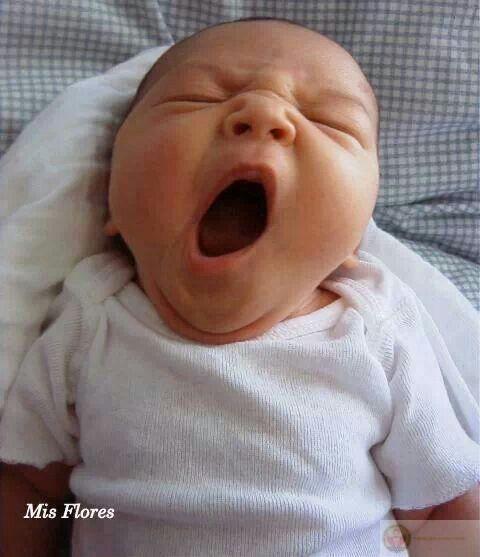 Một chiếc meme mệt mỏi vui nhộn khiến người xem vừa buồn cười vừa thở dài đồng cảm