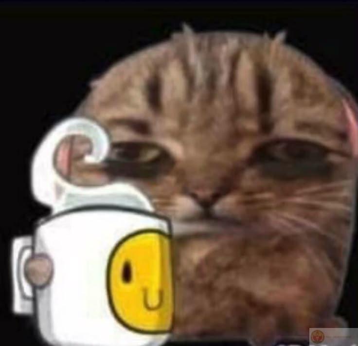 Meme con vật mệt mỏi khiến dân mạng bật cười vì hình ảnh quá chân thật