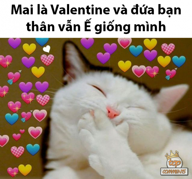 Ảnh chế meme Valentine dành cho người độc thân