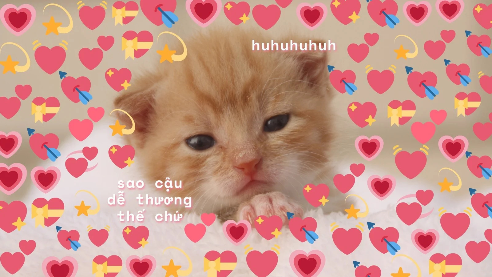 Meme Valentine ngọt ngào, dễ thương cho các cặp đôi