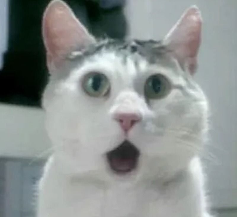 Các trường hợp sử dụng meme ngạc nhiên