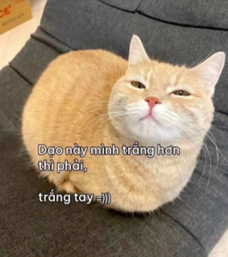 meme hết tiền