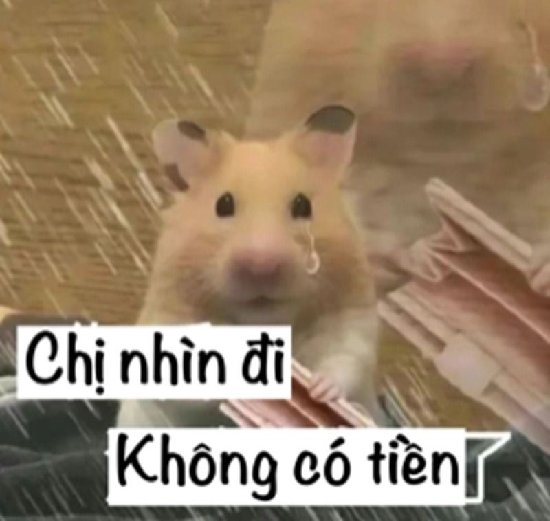 meme hết tiền