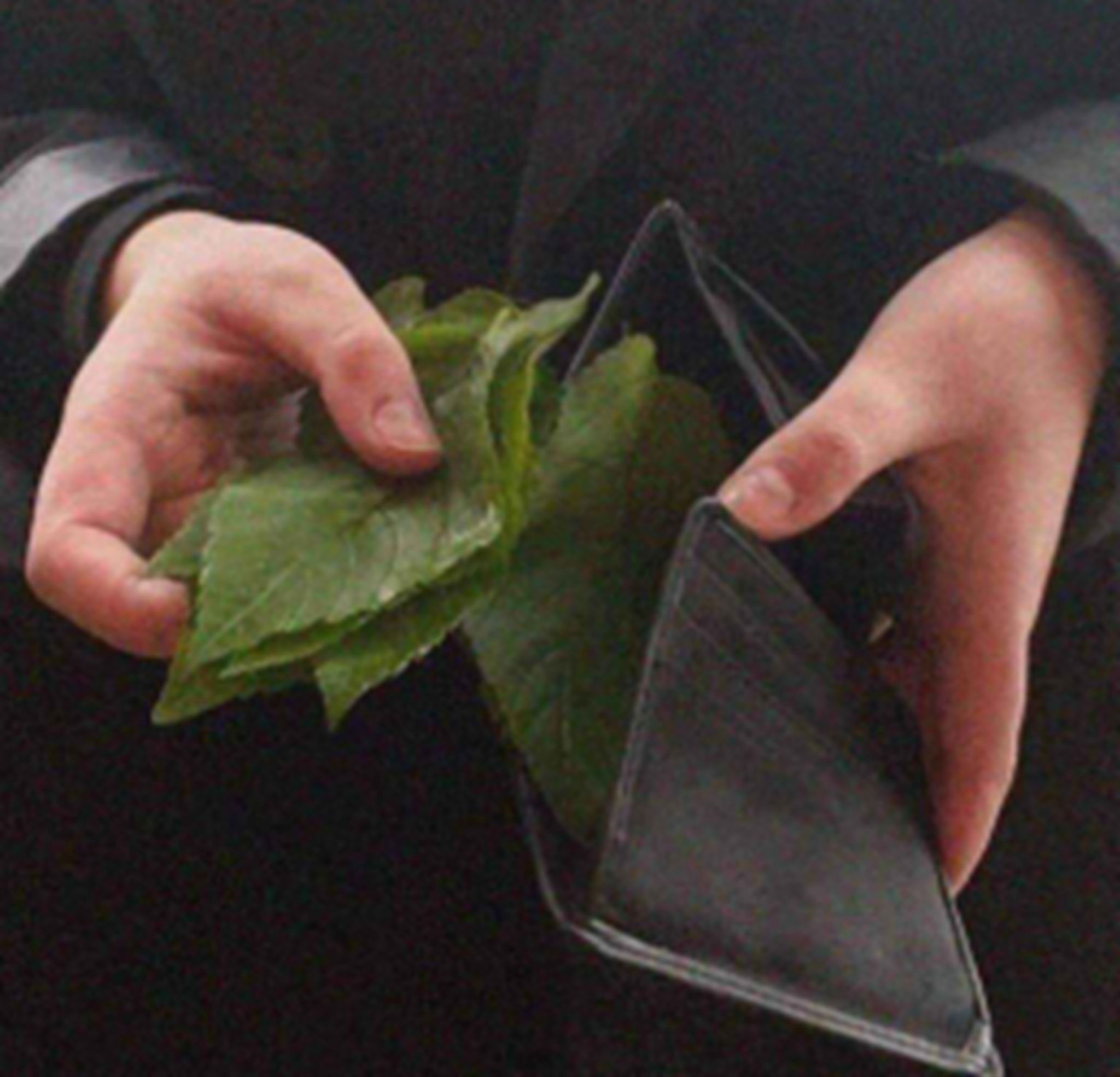 Các tình huống nên sử dụng meme hết tiền