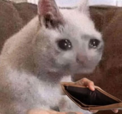 Bộ Sưu Tập Meme Hết Tiền Hài Hước, Vui Nhộn 2026