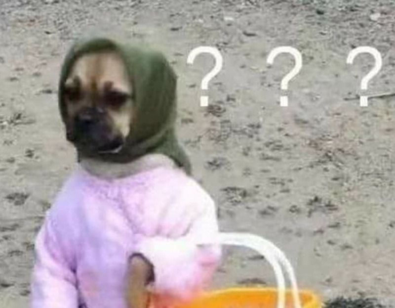 Meme hỏi chấm hài hước/gây cười