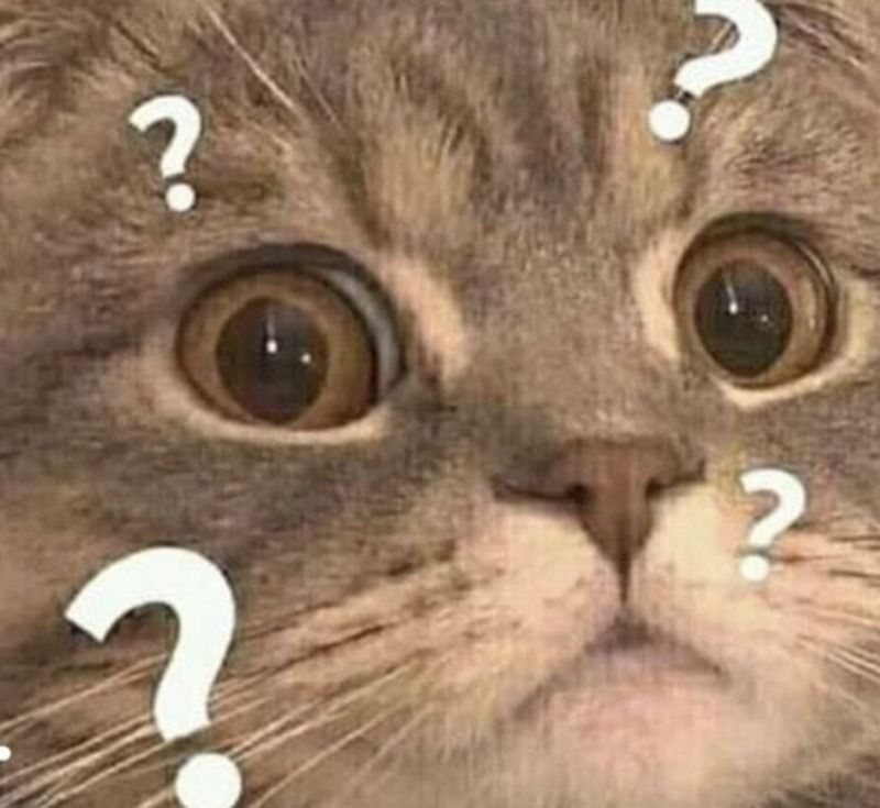 Ý nghĩa sử dụng của meme hỏi chấm