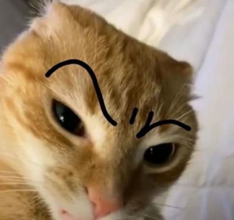 Meme hỏi chấm dùng để “troll” bạn bè