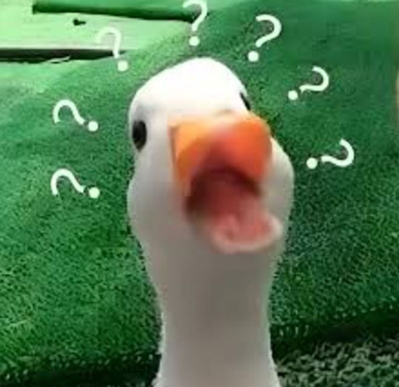 Meme hỏi chấm dùng để “troll” bạn bè