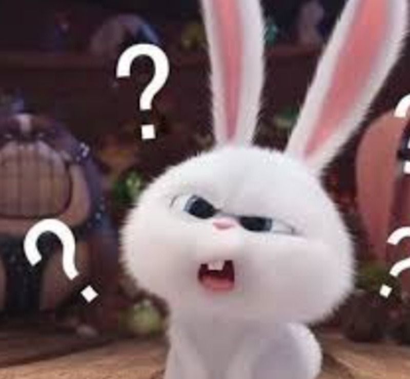 Meme hỏi chấm ngơ ngác, dễ thương