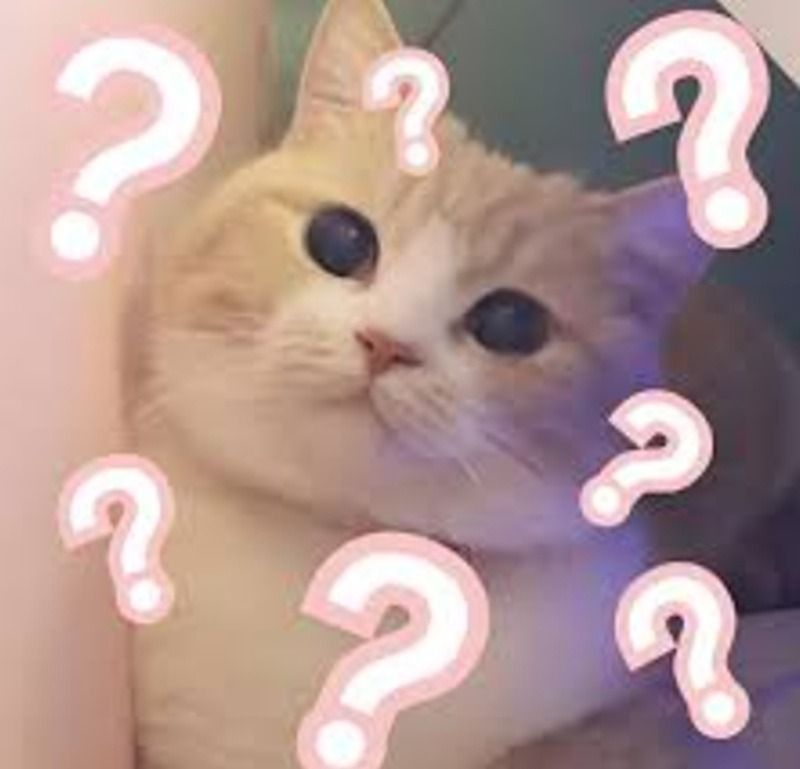 Meme hỏi chấm ngơ ngác, dễ thương