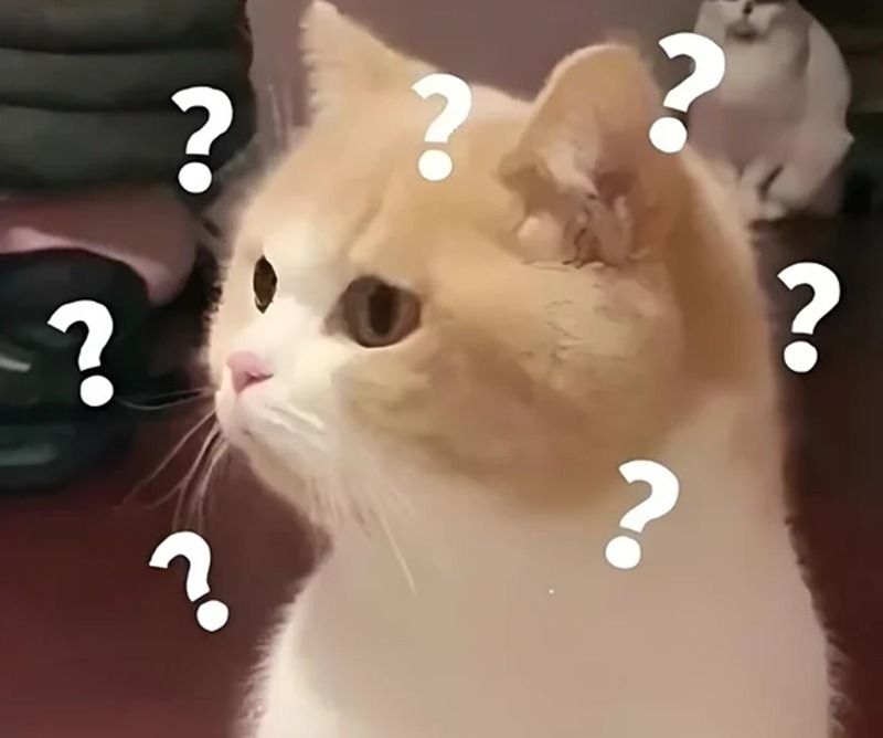 Meme hỏi chấm hình mèo dễ thương