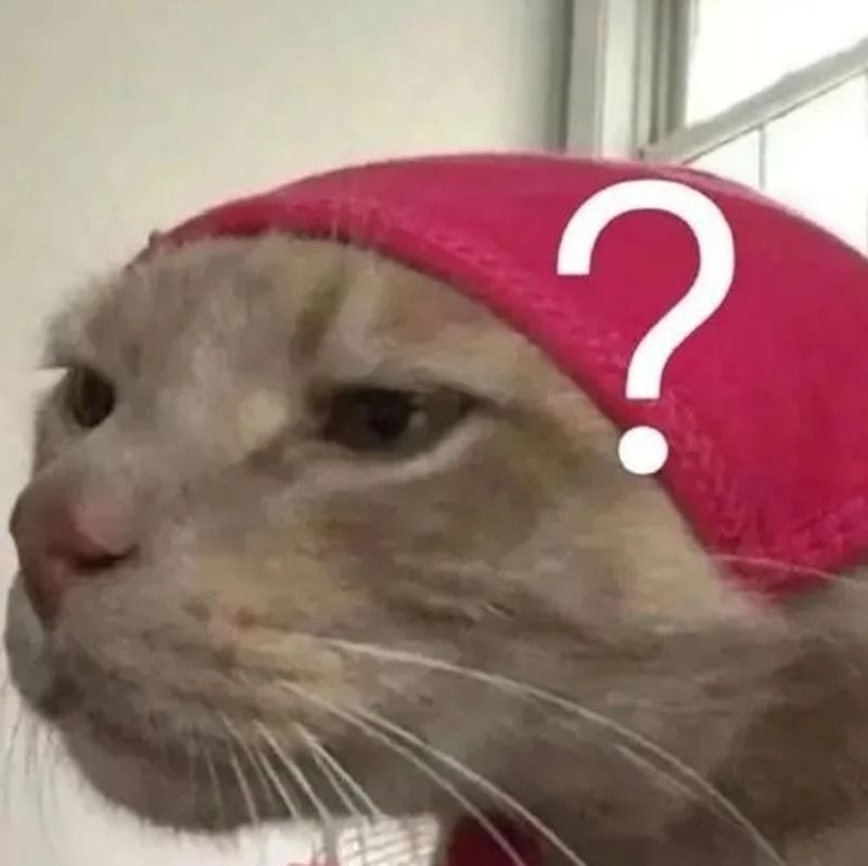 Meme hỏi chấm hình mèo dễ thương