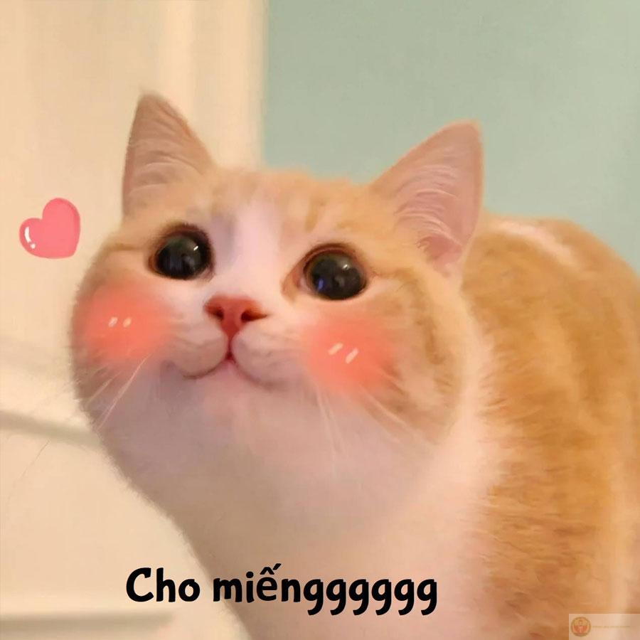 Cười lăn lộn vì cái caption không thể đỡ