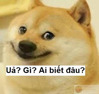 Cười như được mùa, nhưng thực ra không lý do