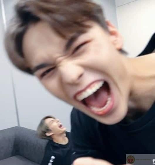 Một meme đủ khiến cả hội ngồi cười ngửa cổ