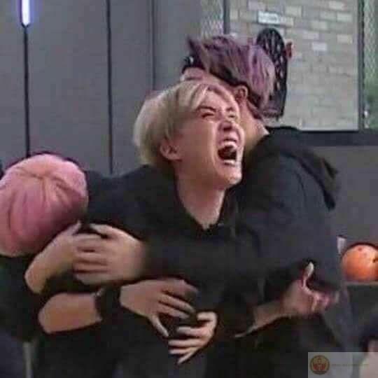 Không muốn nghiêm túc vì đang cười dở