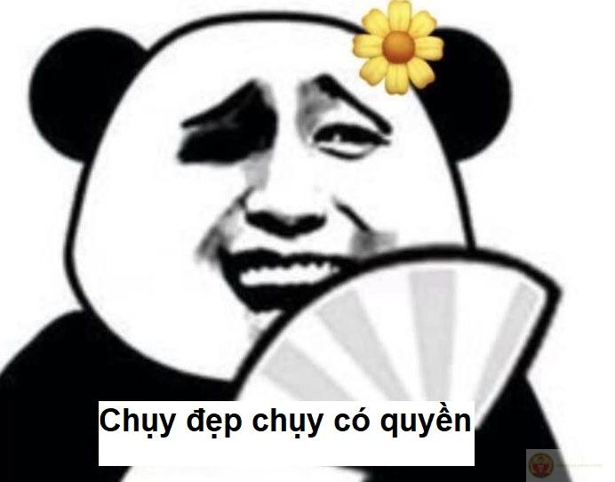 Nụ cười hôm nay được tài trợ bởi một chiếc meme