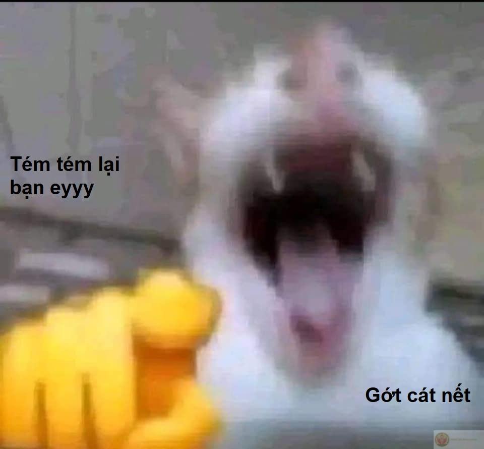 Tưởng drama, ai ngờ meme gây lú