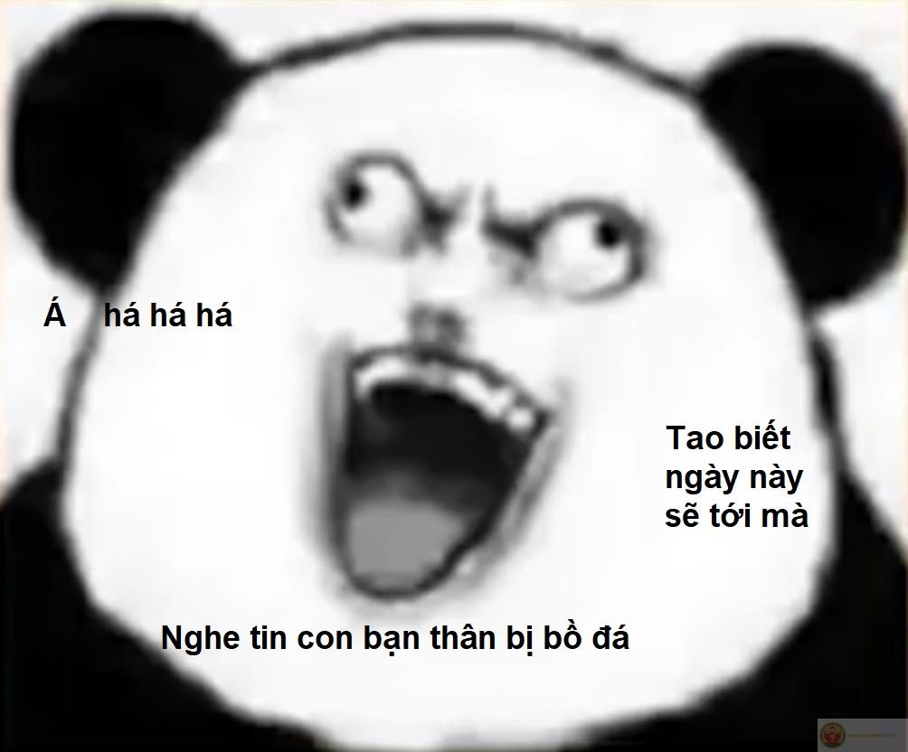 Chưa từng học võ nhưng cười đấm vào mặt buồn