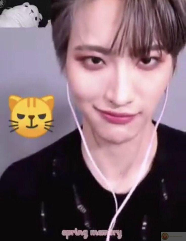 Cười bất chấp, không cần biết chuyện gì xảy ra