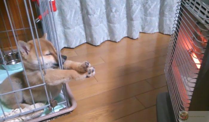 Tôi không chán, tôi chỉ đang cần một giấc ngủ nữa