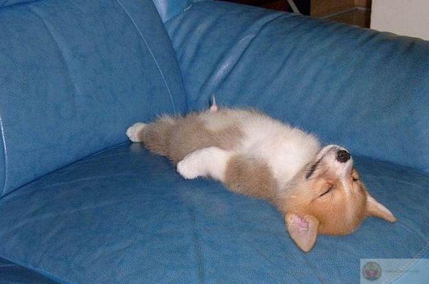 Giấc ngủ ngon nhất luôn đến khi không nên ngủ