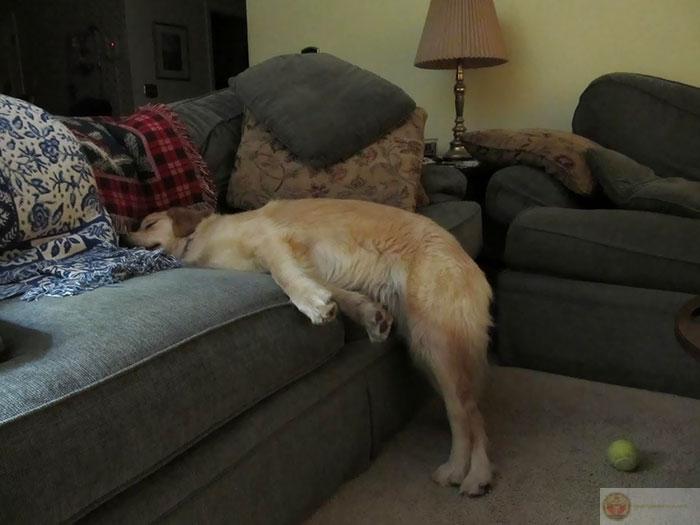 Giấc mơ đẹp thường đến vào lúc báo thức reo