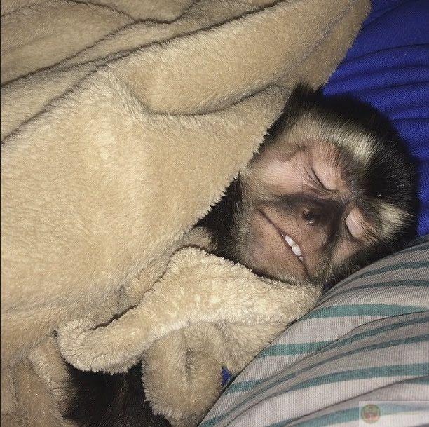 Chỉ định ngủ 5 phút, tỉnh dậy trời tối