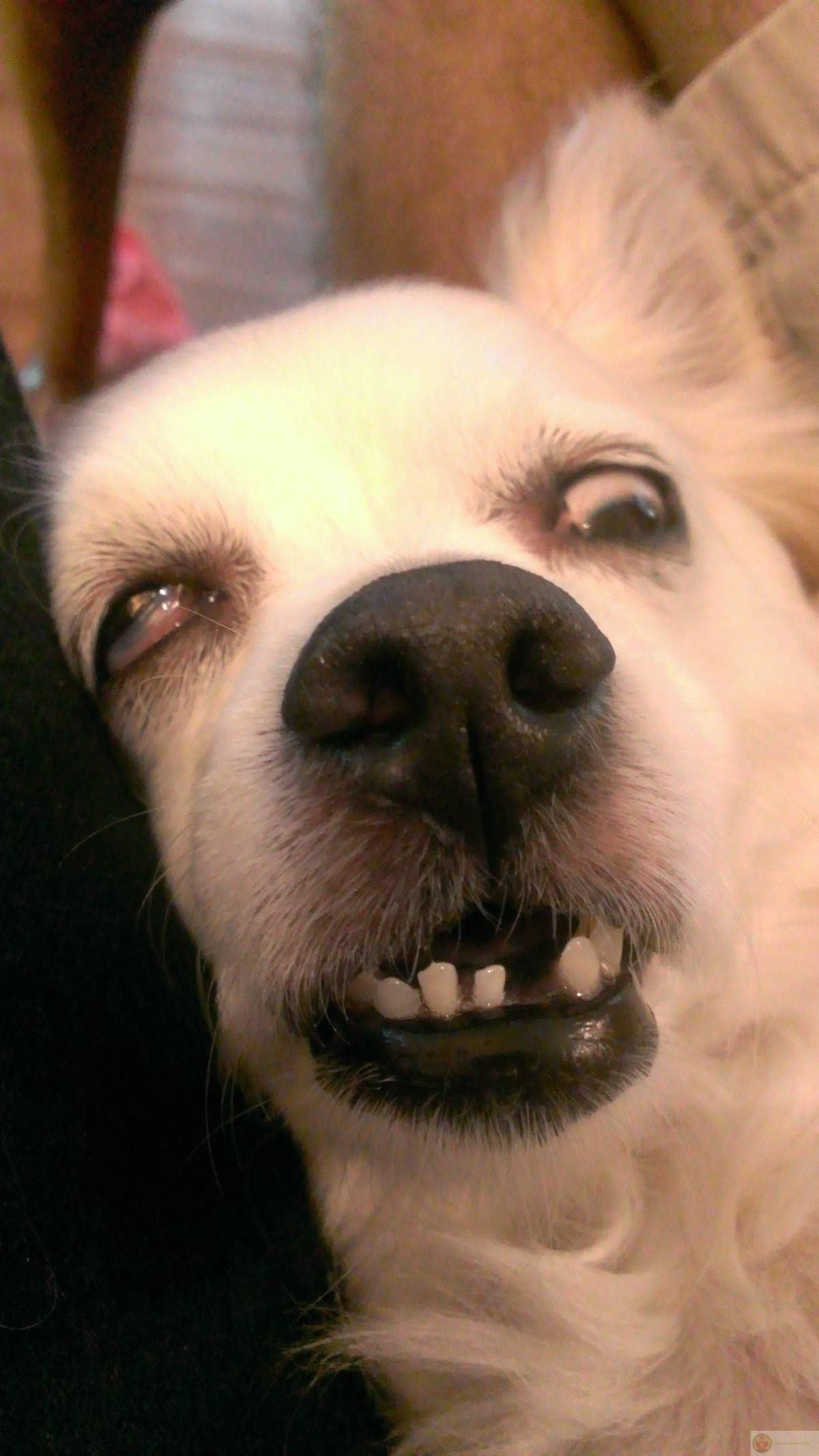 Ngủ nhiều quá cũng thấy tội lỗi nhẹ nhẹ