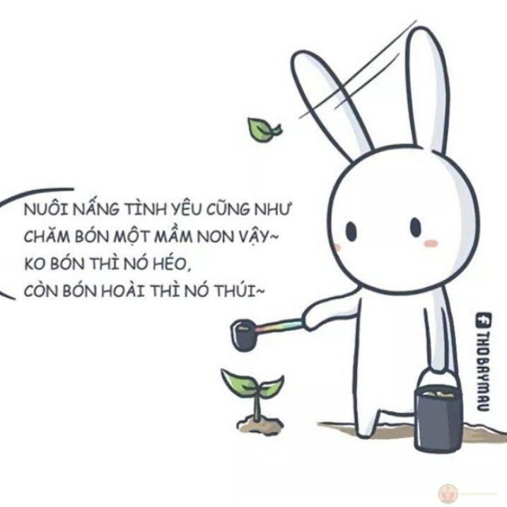 Tui mệt rồi, nhưng không dám than