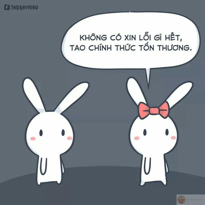 Thỏ không nói nhiều, chỉ biết giận nhẹ