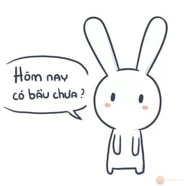 Đừng bắt tui phải tỏ ra bình thường