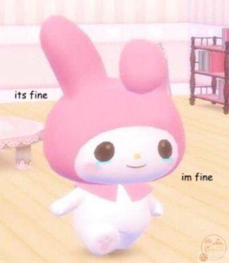 Người xem thấy mình trong meme bởi ai cũng từng trải qua như thế