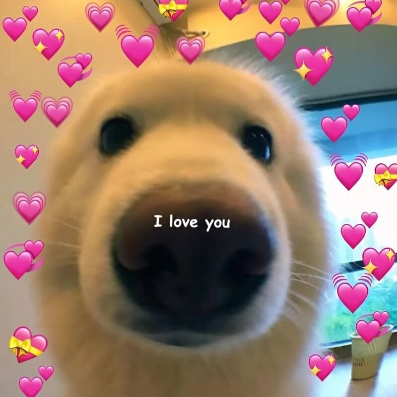 Ý nghĩa của meme tình yêu 