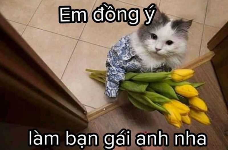 Meme tình yêu tâm trạng